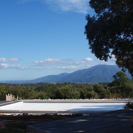 Mas La Marchette Bed & Breakfast Céret Exterior foto